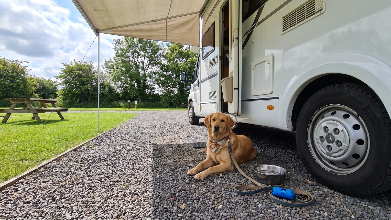 Perro descansando junto a una camper en una parada pet-friendly práctica